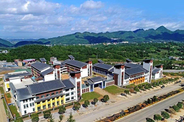 图书投标之大方县中标案例